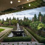 Fountain Residency - Fountain